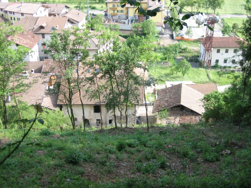 vista