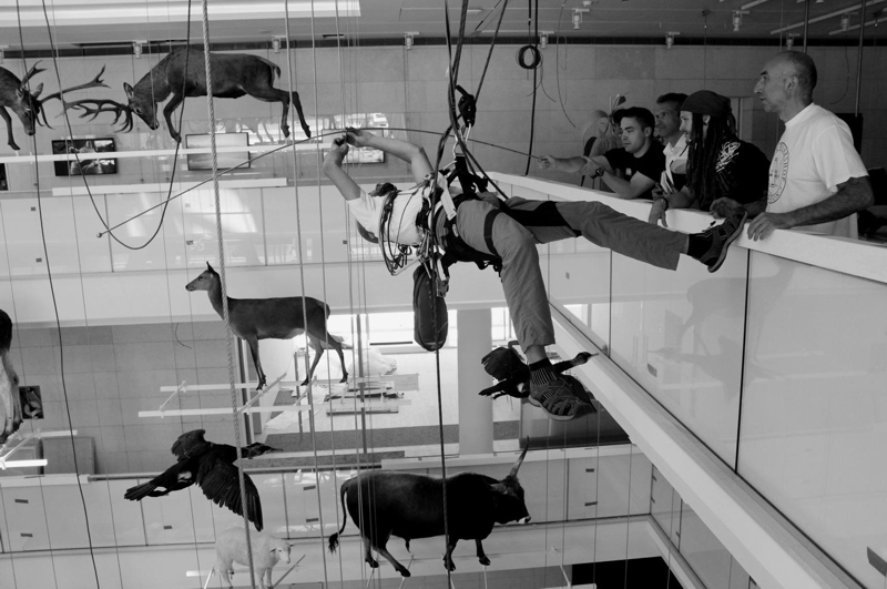 Posa animali nel BIG VOID Posa animali nel BIG VOID